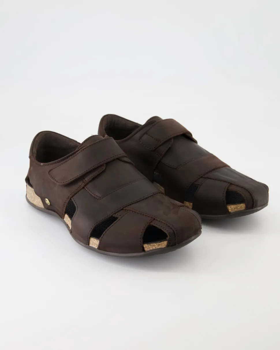 Fletcher Basics C1 Sandalen in Braun