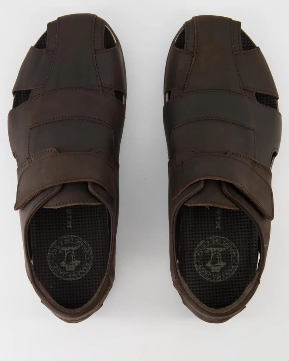 Fletcher Basics C1 Sandalen in Braun