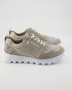 H-Ajala Schnürschuhe in Beige