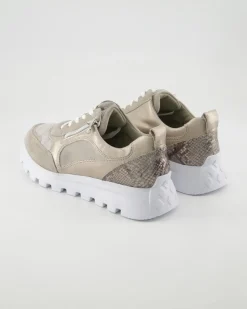 H-Ajala Schnürschuhe in Beige
