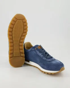 LFM251.041.3100 Sneaker in Blau