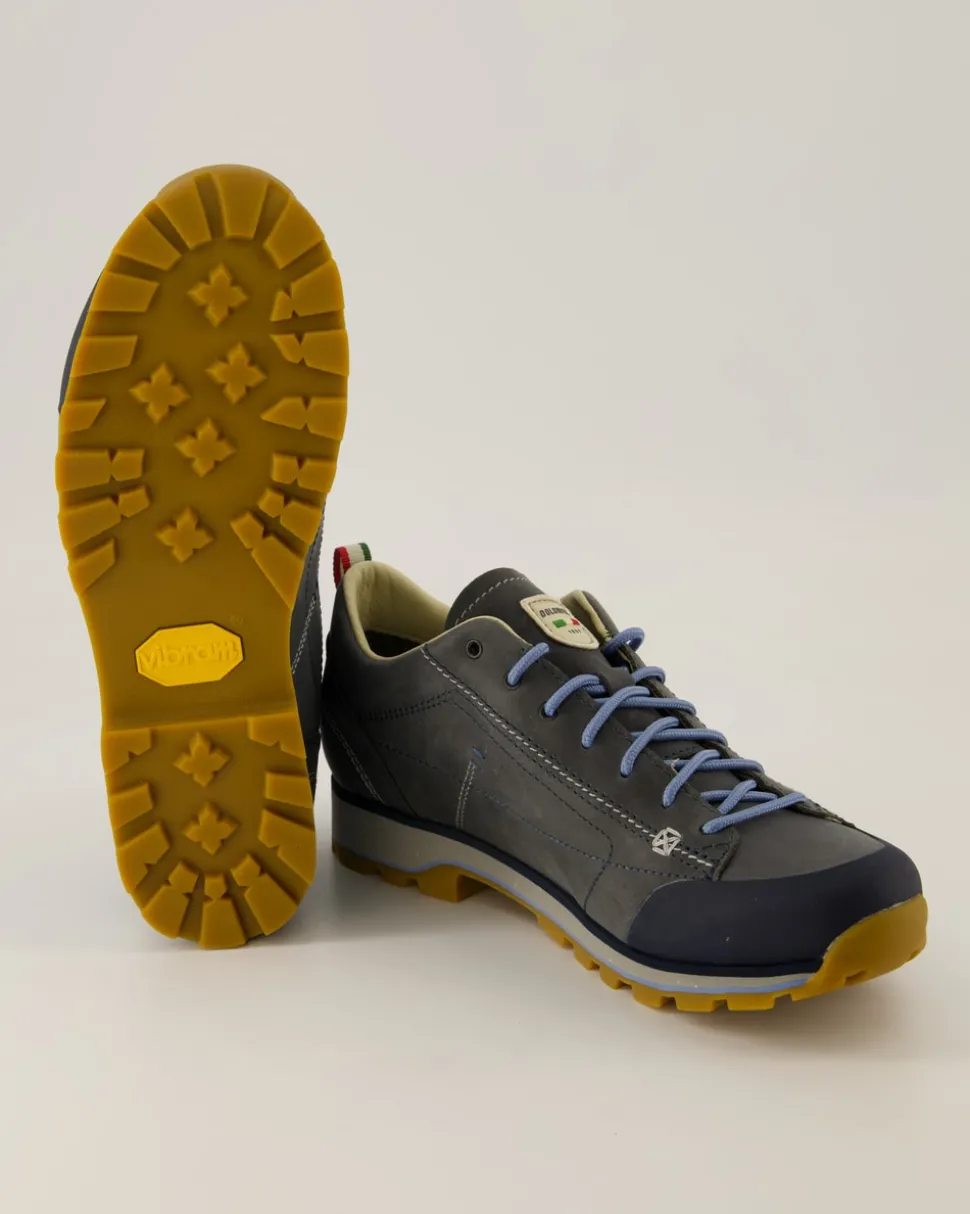 Low Fg Evo GTX Wanderschuhe in Blau