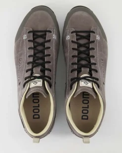 Low Fg Evo GTX Wanderschuhe in Grau