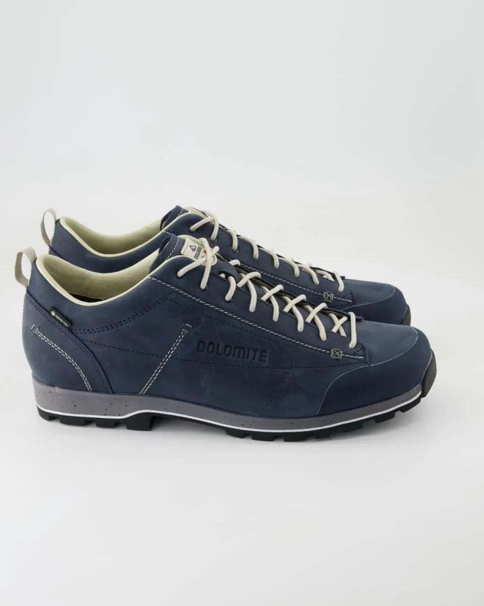 Low Fg Evo GTX Wanderschuhe in Blau