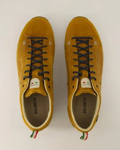 Low Fg Evo GTX Wanderschuhe in Braun