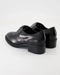 2023M Schnürschuhe in Schwarz