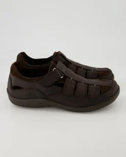 Meridian Basics C1 Slipper in Braun