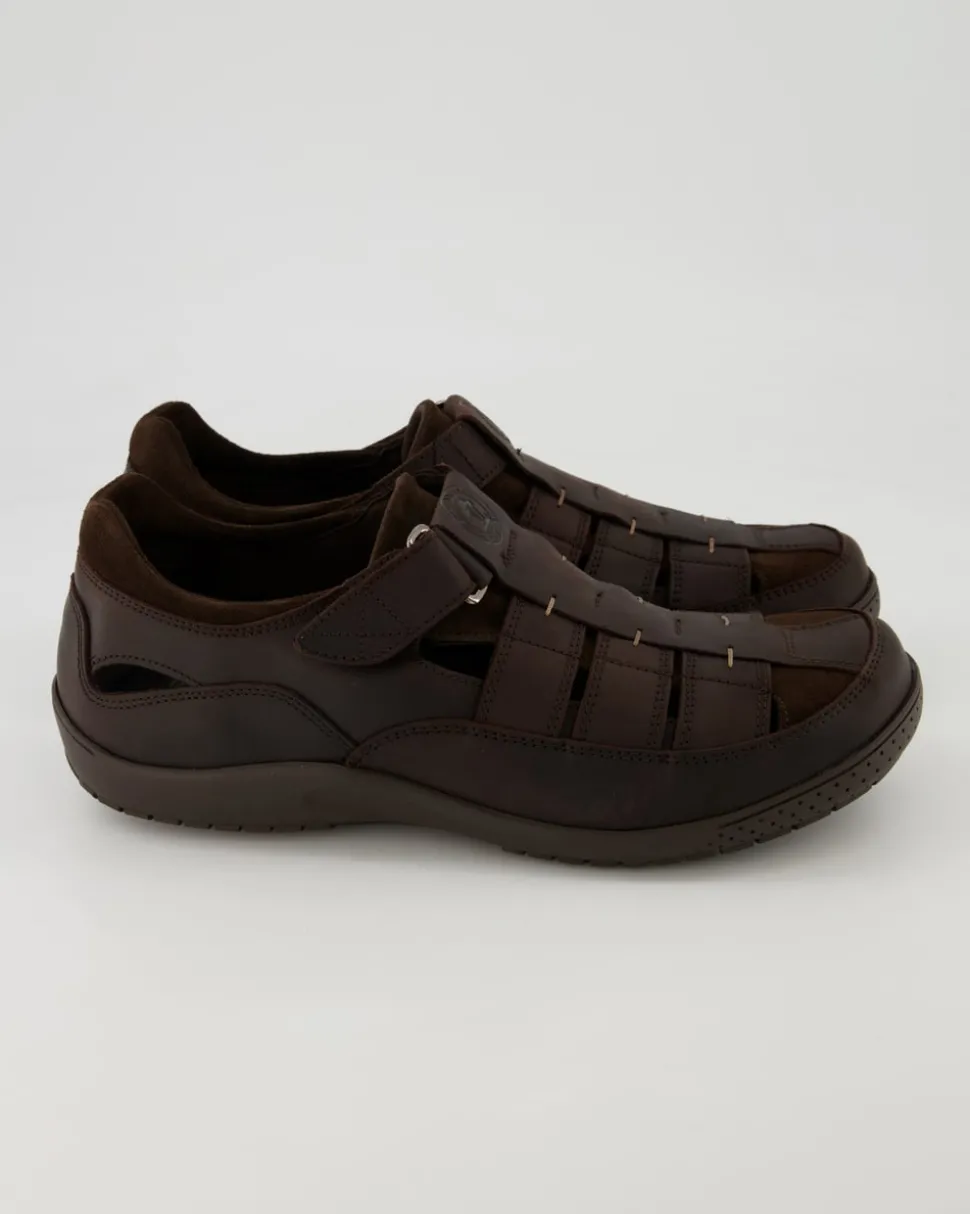 Meridian Basics C1 Slipper in Braun