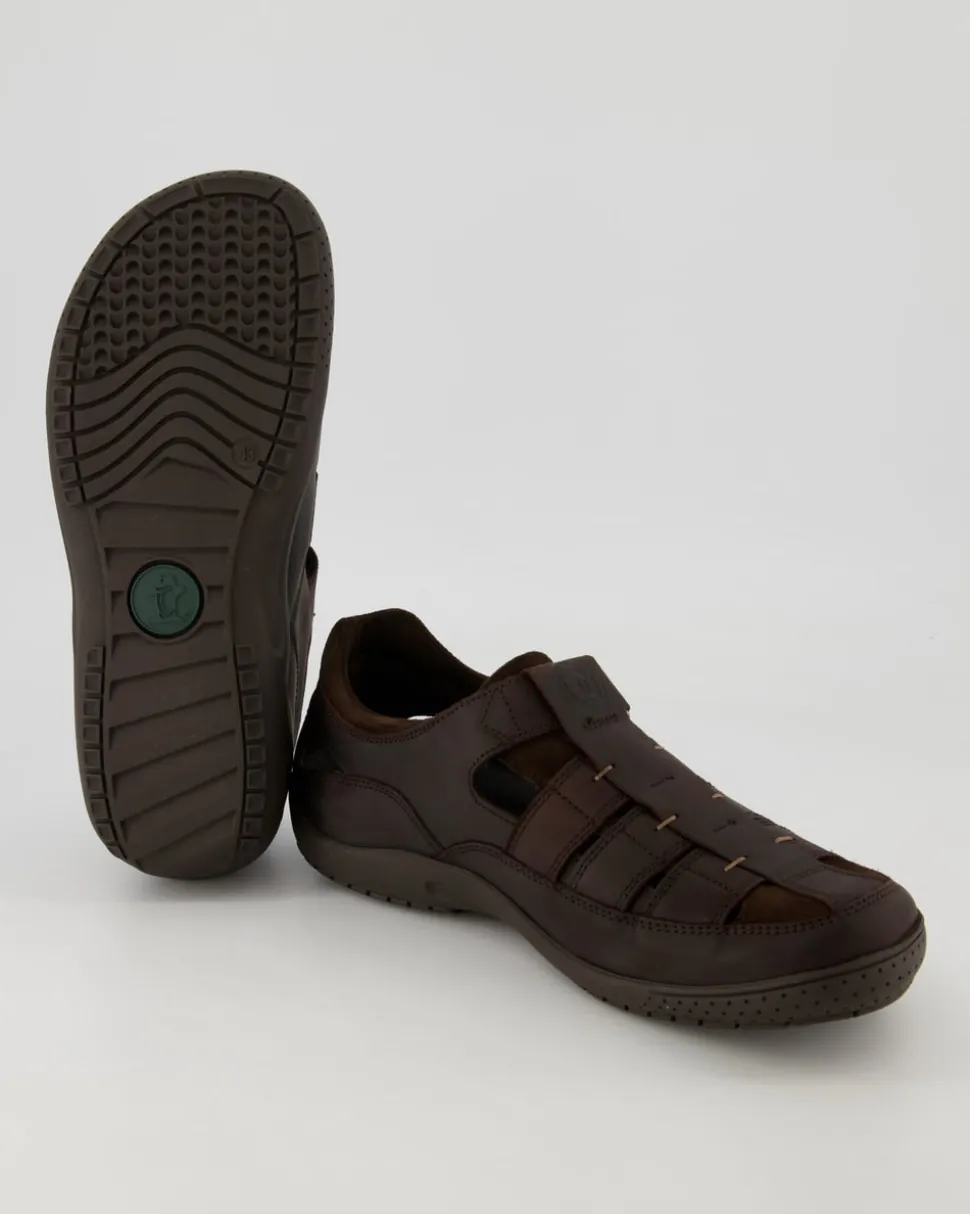 Meridian Basics C1 Slipper in Braun