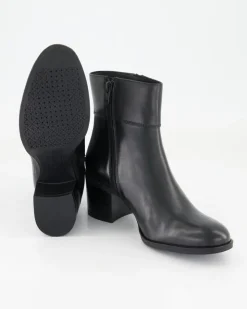 New Asheel Stiefeletten in Schwarz