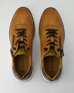 Polch Sneaker in Braun