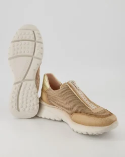 Polinesia-V23 Slipper in Gold