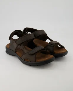 Salton Basics C1 Sandalen in Braun