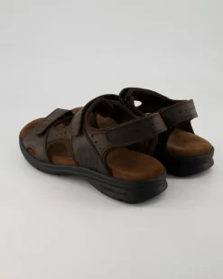 Salton Basics C1 Sandalen in Braun