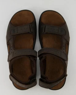 Salton Basics C1 Sandalen in Braun
