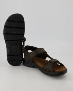 Salton Basics C1 Sandalen in Braun