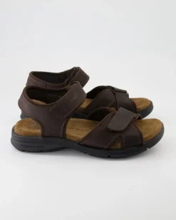 Sanders Basics C1 Sandalen in Braun