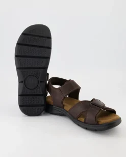 Sanders Basics C1 Sandalen in Braun