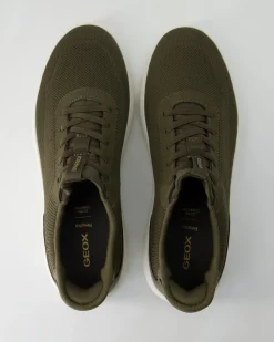 Spherica Plus Sneaker in Grün