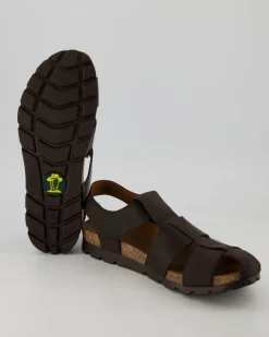 Stanley C6 Sandalen in Braun