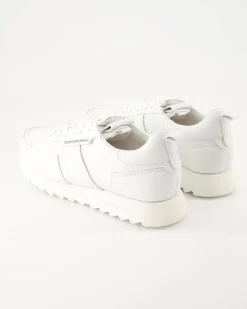 Stroke Sneaker in Weiß