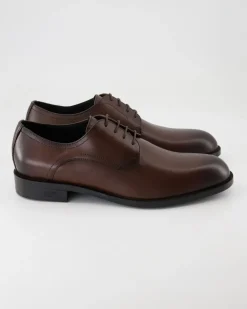 Tayil_Derb Schnürschuhe in Braun