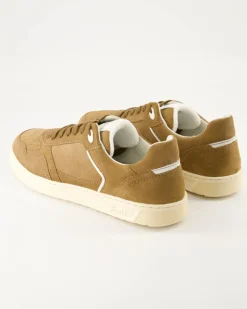 Tedroso-704 Schnürschuhe in Braun