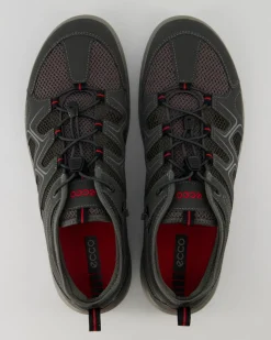 Terracruise LT M Wanderschuhe in Grau