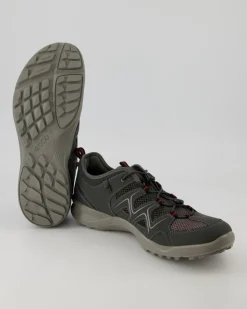 Terracruise LT M Wanderschuhe in Grau