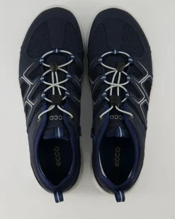 Terracruise Wanderschuhe in Blau