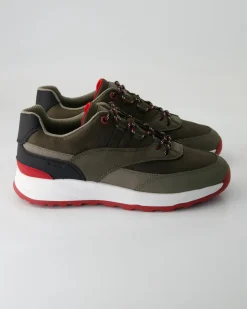 Terrestre Sneaker in Grün