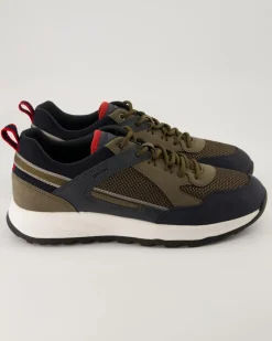 TERRESTRE Sneaker in Grün