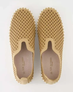 Tulip3275 Slipper in Braun