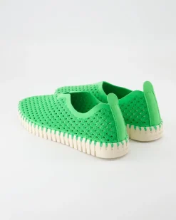 Tulip3275 Slipper in Grün