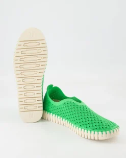 Tulip3275 Slipper in Grün