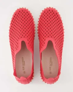 Tulip3275 Slipper in Pink