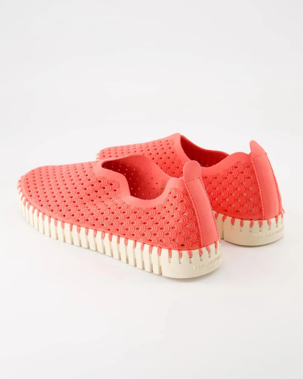 TULIP3275 Slipper in Rosa