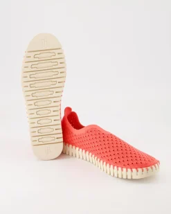 TULIP3275 Slipper in Rosa