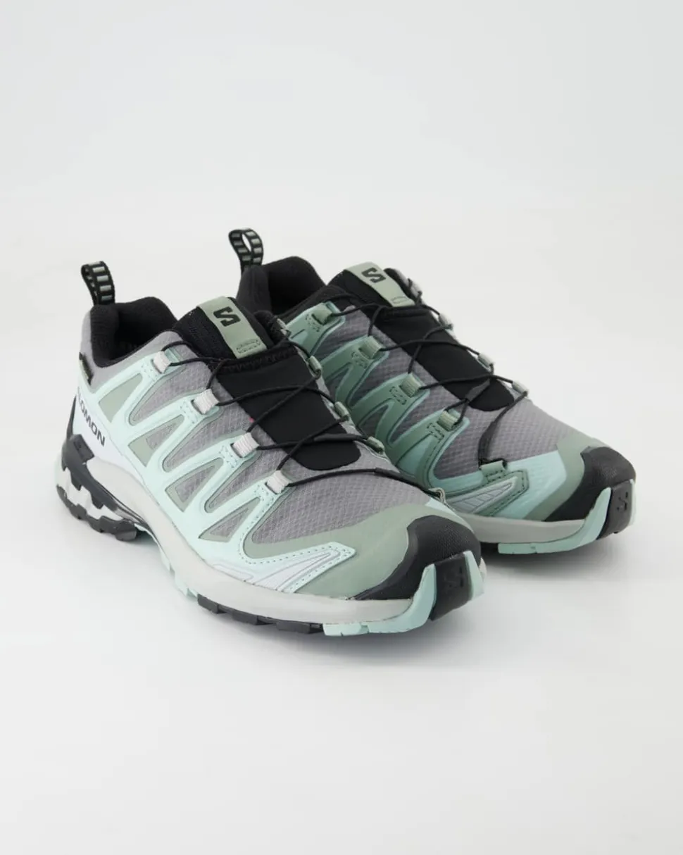 XA Pro 3D V9 GTX W Sportschuhe in Grün