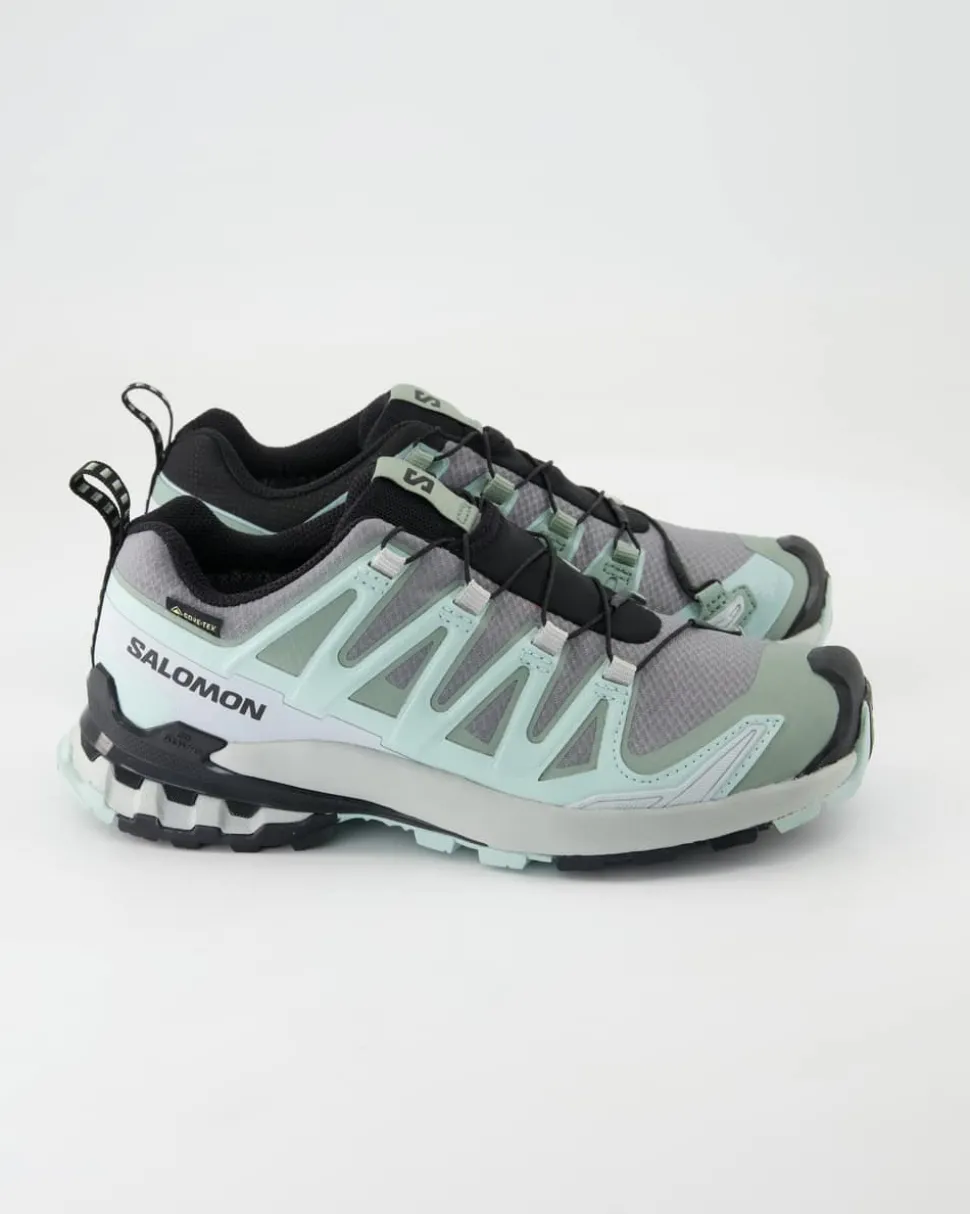 XA Pro 3D V9 GTX W Sportschuhe in Grün