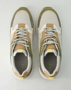 Zarvia Sneaker in Mehrfarbig