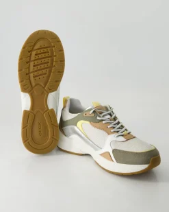 Zarvia Sneaker in Mehrfarbig